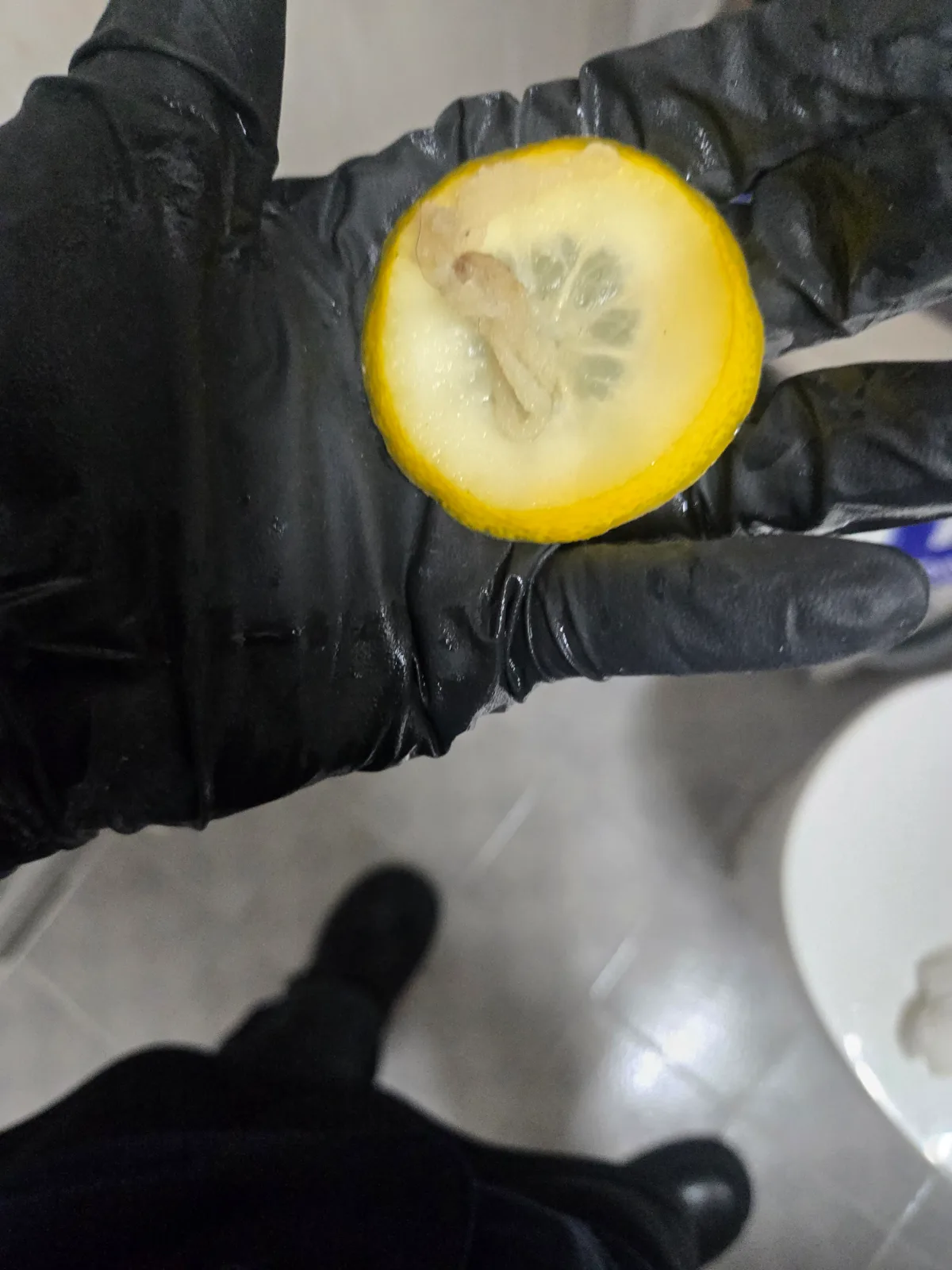중랑구 면목동 변기막힘 변기에서 제거한 레몬 슬라이스